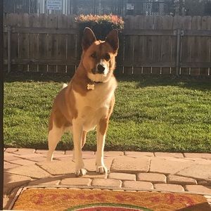 Meet your Posher, Erika